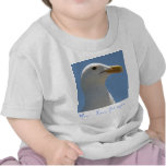 Seagull Shirts