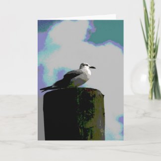 Seagull sitting on a dock posterized photograph card
