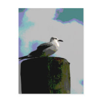 Seagull sitting on a dock posterized photograph post card