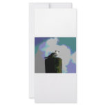 Seagull sitting on a dock posterized photograph rack cards