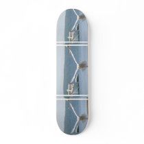 Seagull Skateboard