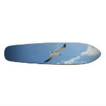 Seagull Skateboard Decks