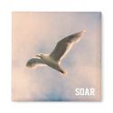 Seagull Soar Magnet