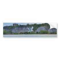 Seagull soaring across the lake bumper stickers