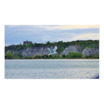 Seagull soaring across the lake business cards