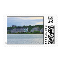 Seagull soaring across the lake postage stamps