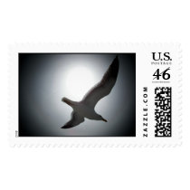 seagull-spotlight  postage