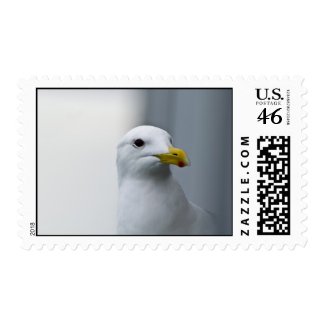Seagull Stamps