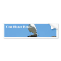 Seagull Standing On Dock bumper stickers