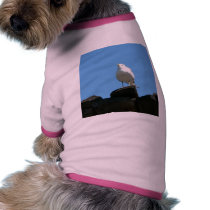 Seagull Standing On Dock pet clothing