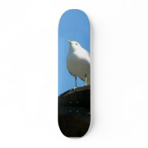 Seagull Standing On Dock skateboards