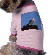Seagull Standing On Wood pet clothing
