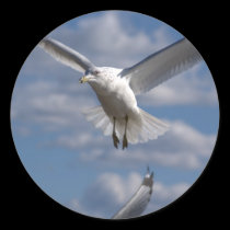 Seagull Sticker stickers