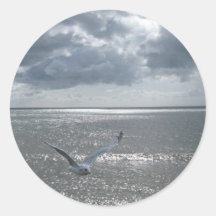 Seagull Sticker