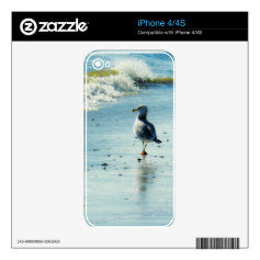 Seagull Stroll Skins For iPhone 4S