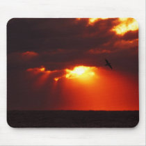 Seagull Sunrise Mousepad