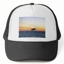 seagull sunset kotz hats by kotzradio seagull sunset kotz hats