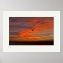Seagull Sunset - Texas Coast Print