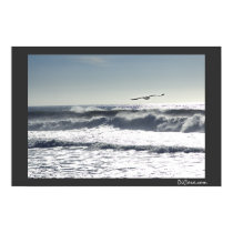Seagull Surf posters