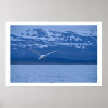 Seagull The Norwegian Flight To Freedom Poster