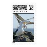 Seagull Trio Stamp