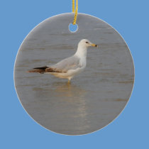 Seagull Wading ornaments