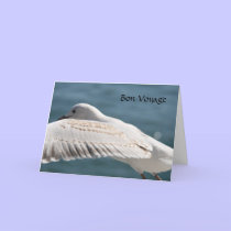 seagull wishes cards by cardart seagull wishes cards