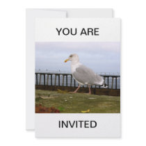 Seagull  YOU ARE INVITED