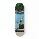 Seagulls at Tuckerton, NJ Custom Skate Board