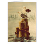 SEAGULLS by SHARON SHARPE Greeting Cards