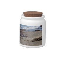 Seagulls feeding on the beach candy jar