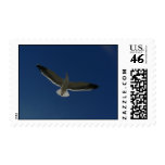 Seagulls Flight Postage Stamp