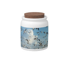 seagulls flying over beach candy jars