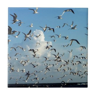 seagulls flying over beach tile