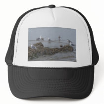 Seagulls hats by crystalreddell Seagulls hats