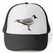 Seagulls hats by closer2nature Seagulls hats