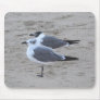 Seagulls in Asbury Park NJ mousepad