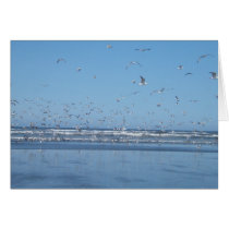 Seagulls in flight card