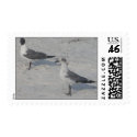 Seagulls In Florida postage by TRIPINTRISH Seagulls In Florida postage