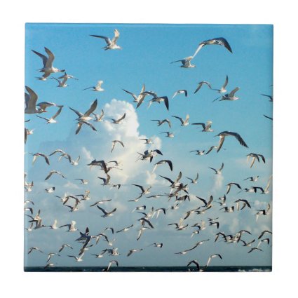 seagulls in sky over inlet birds ceramic tile