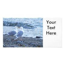 Seagulls Kissing on the Beach Photo Photo Greeting Card