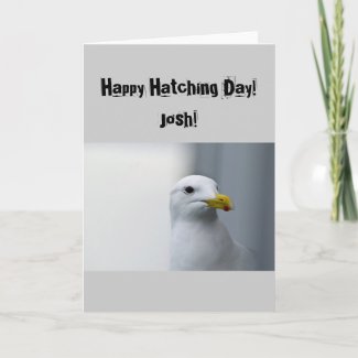 Seagulls Need Love Too Birthday Card Greeting Cards