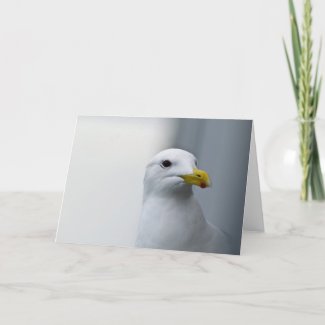 Seagulls Need Love Too Greeting Cards