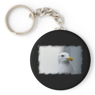 Seagulls Need Love Too Keychains