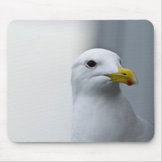 Seagulls Need Love Too Mouse Pads