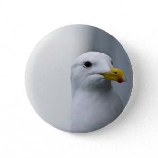 Seagulls Need Love Too Pinback Button