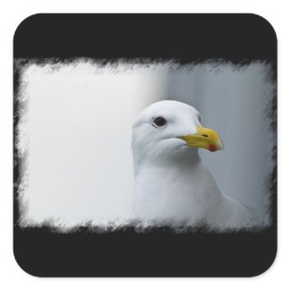 Seagulls Need Love Too Square Sticker