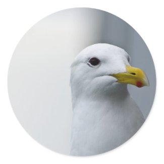 Seagulls Need Love Too Stickers