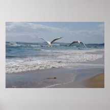 Seagulls ocean and beach posters