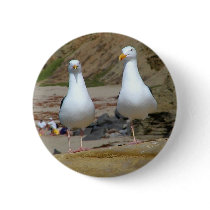 Seagulls On Oceans Beach buttons